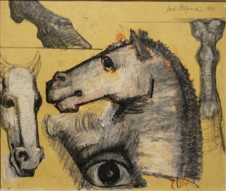 Dessins de chevaux étude anatomique